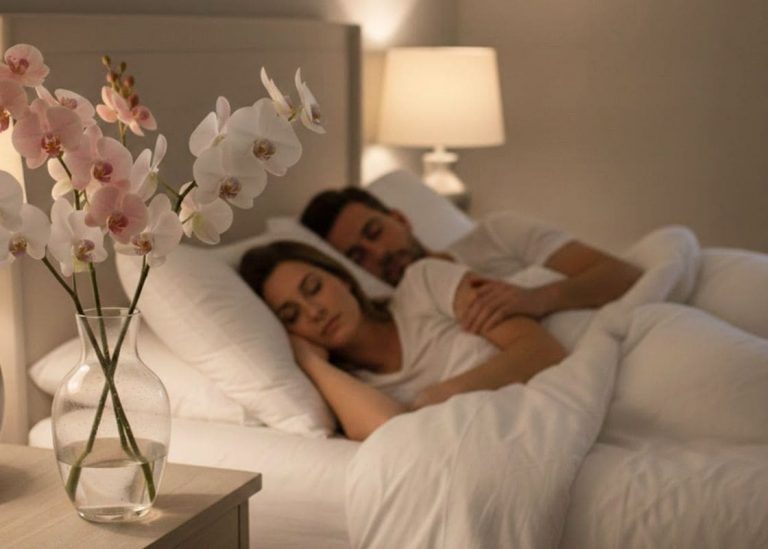 I Just Leave Orchids in My Bedroom at Night