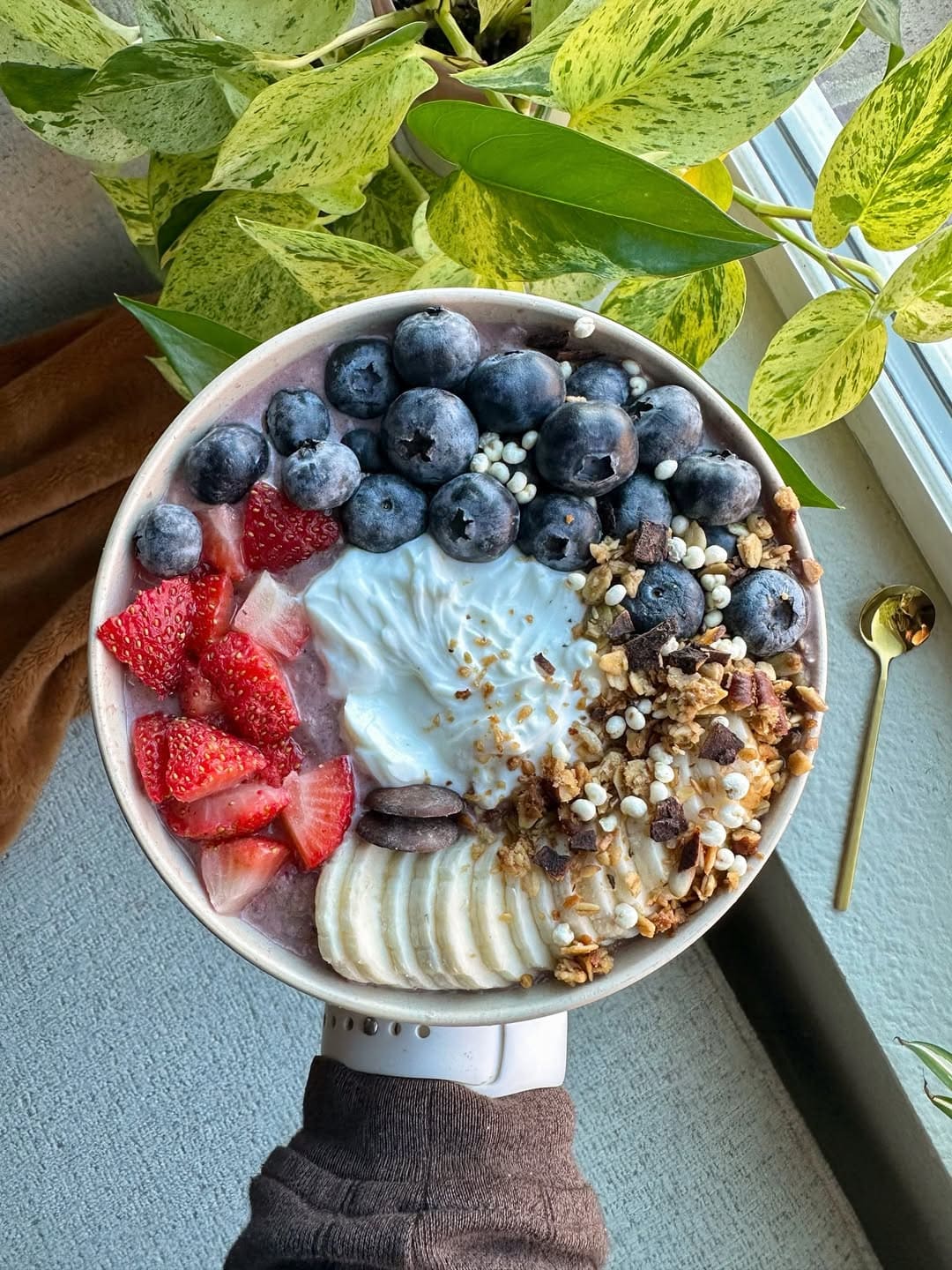 Clean Yogurt Fruit Energy Bowl