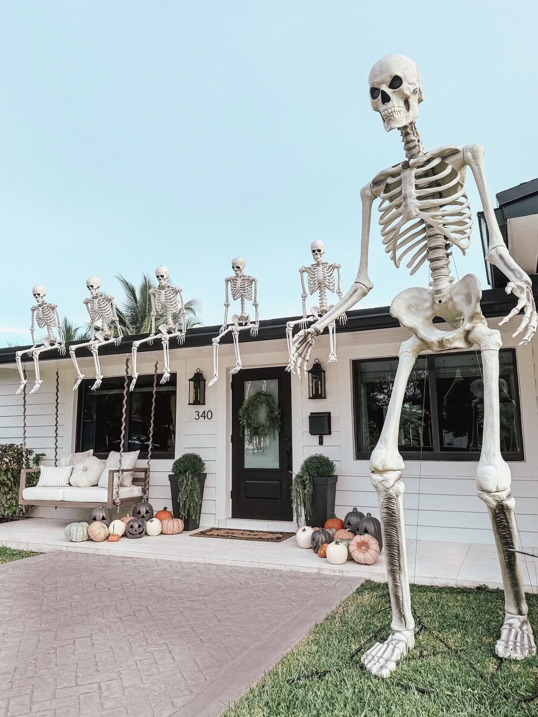 Giant Skeleton Porch Display