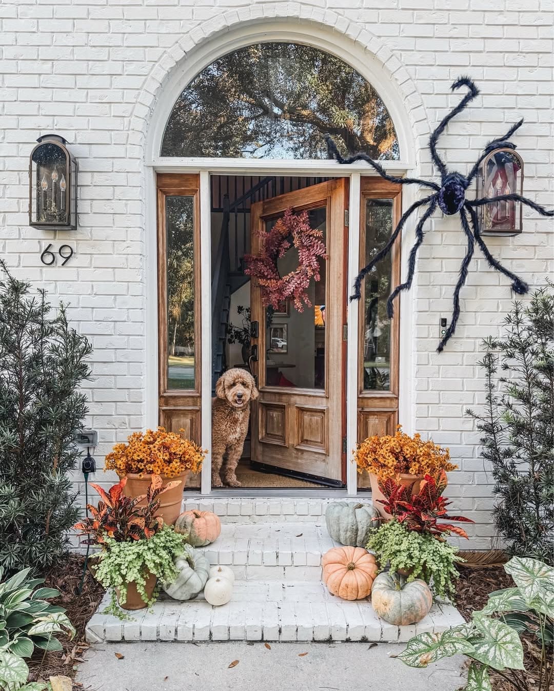 Giant Spider Door Surprise