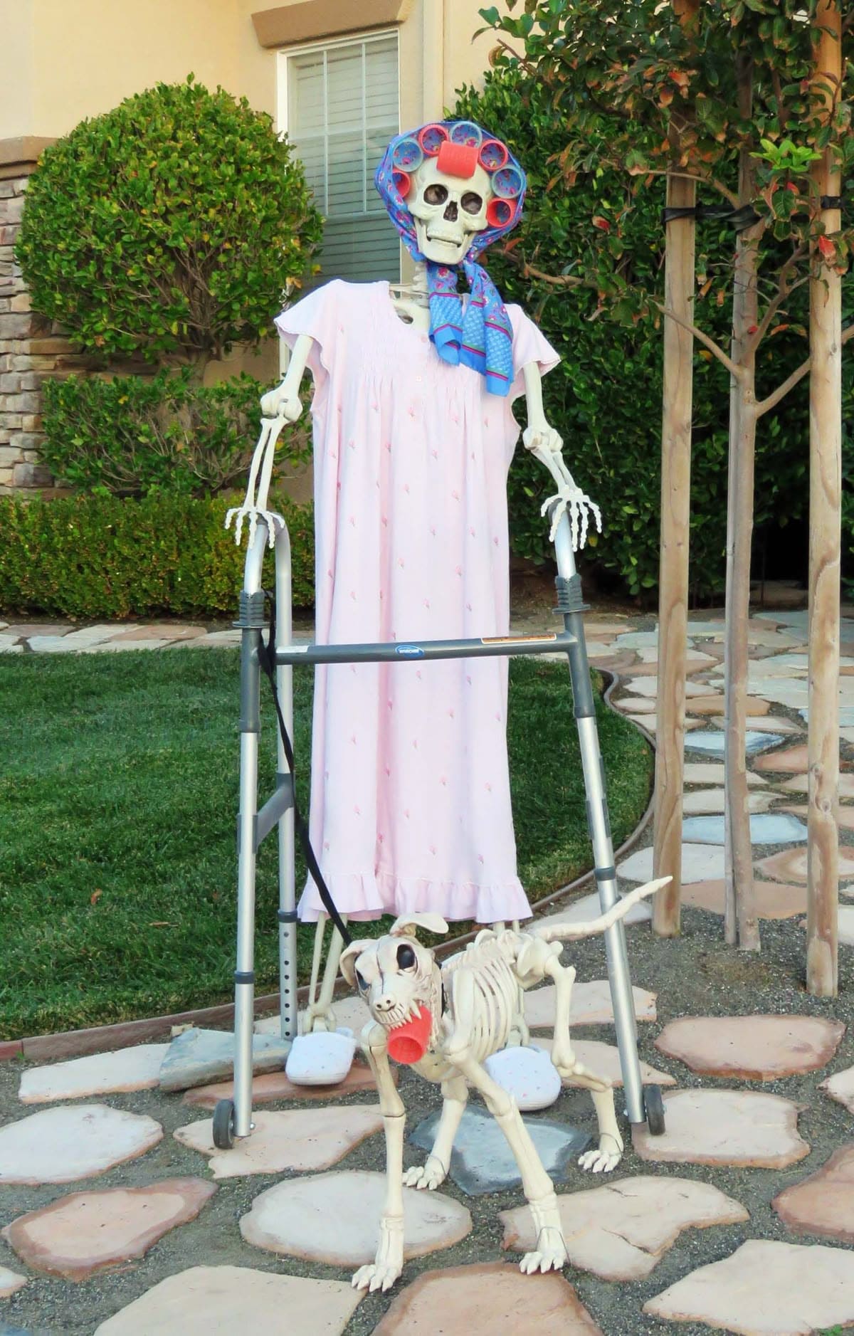 Granny Skeleton Yard Scene