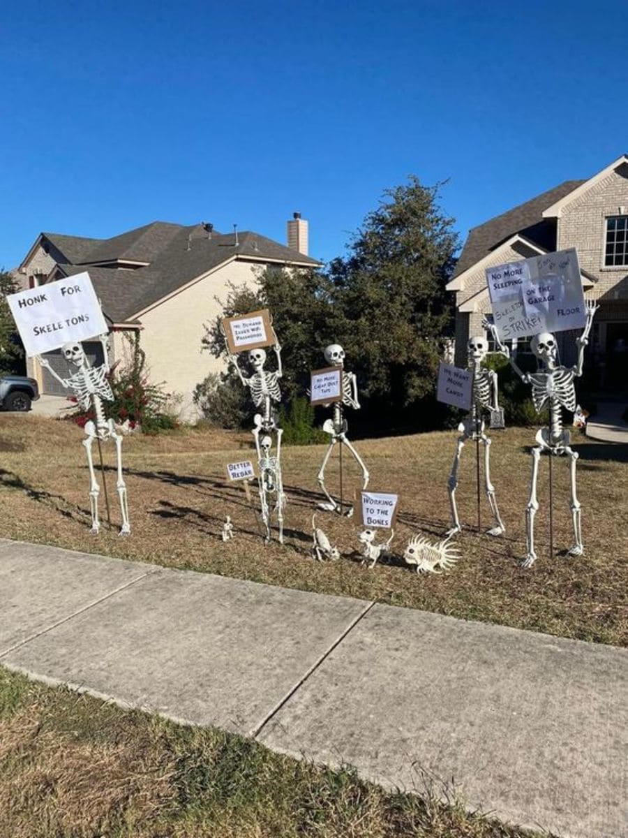 Skeleton Protest Yard Display